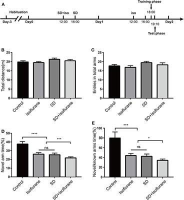 Sleep Deprivation Aggravates Cognitive Impairment by the Alteration of Hippocampal Neuronal Activity and the Density of Dendritic Spine in Isoflurane-Exposed Mice